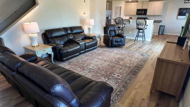 255 Common Reed Dr, Gilbert, SC 29054 - living room with light wood-style flooring and baseboards