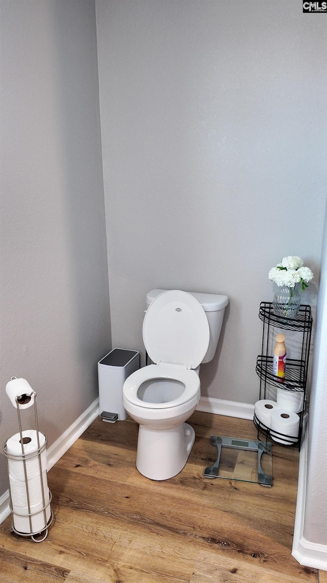 255 Common Reed Dr, Gilbert, SC 29054 - bathroom with toilet and wood finished floors