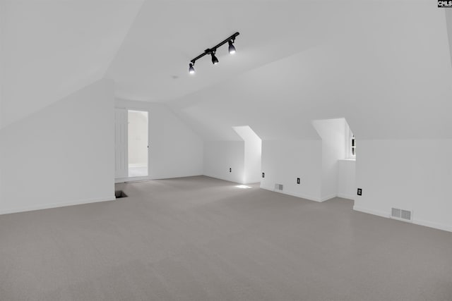 455 Harleston Rd, Irmo, SC 29063 - additional living space featuring lofted ceiling and carpet floors