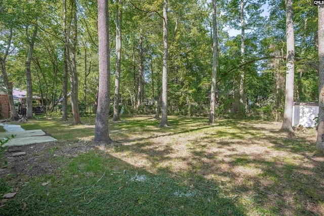 455 Harleston Rd, Irmo, SC 29063 - view of grassy yard
