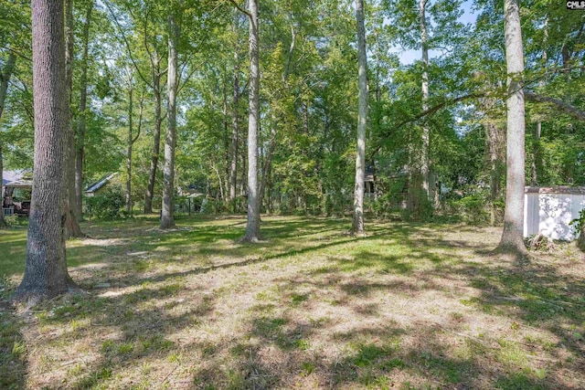 455 Harleston Rd, Irmo, SC 29063 - view of grassy yard