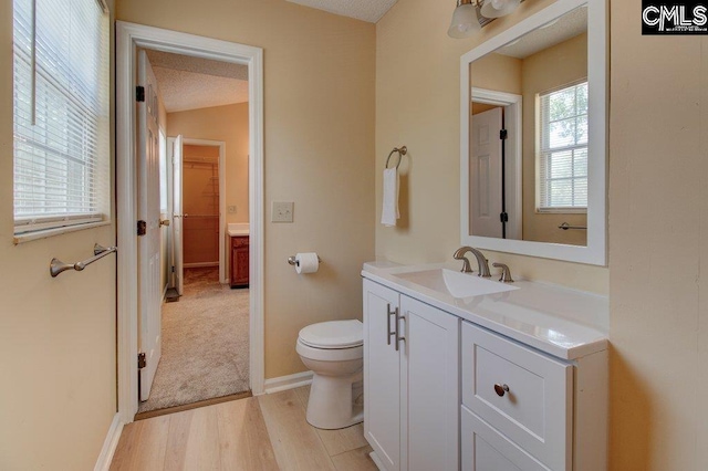 125 Durham Creek Ct, Columbia, SC 29229 - bathroom with vanity and wood finished floors
