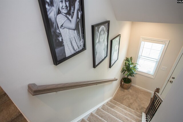 140 Green Ivy Ct, Camden, SC 29020 - stairway with carpet floors and baseboards