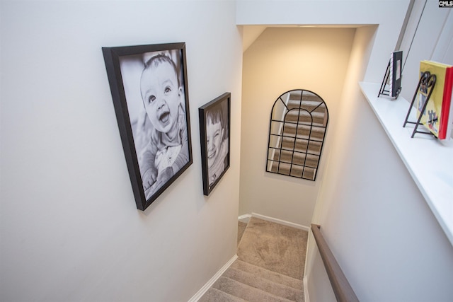 140 Green Ivy Ct, Camden, SC 29020 - stairs featuring carpet flooring and baseboards