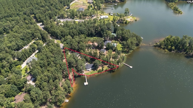 732 Nichols Ct, Leesville, SC 29070 - aerial overview of property's location featuring a large body of water and property parcel outlined