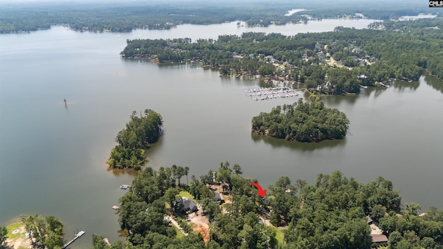 732 Nichols Ct, Leesville, SC 29070 - aerial view of a large body of water and a heavily wooded area