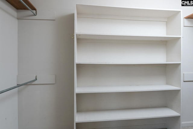 263 Sausage Ln, West Columbia, SC 29170 - view of spacious closet