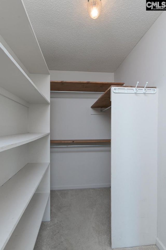 263 Sausage Ln, West Columbia, SC 29170 - walk in closet featuring carpet floors