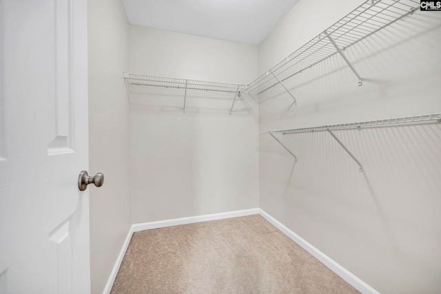 267 Caedmons Creek Dr, Irmo, SC 29063 - walk in closet featuring carpet