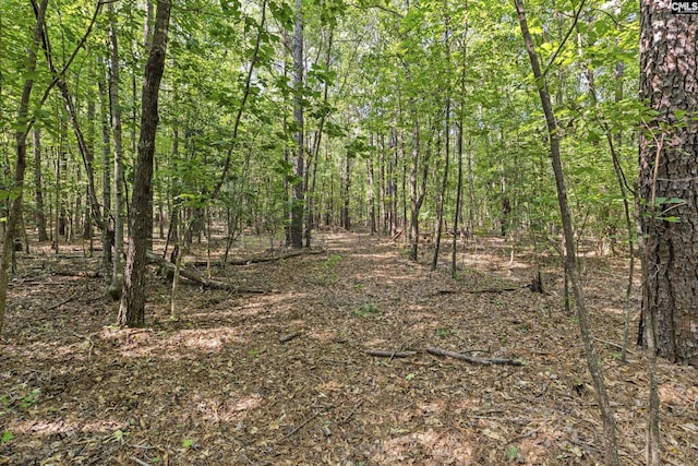 259 Sessions Rd, Elgin, SC 29045 - view of woods