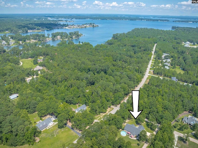 1140 Counts Ferry Rd, Lexington, SC 29072 - aerial overview of property's location featuring a forest and a nearby body of water