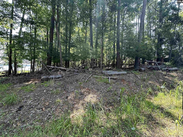 210 Hidden Circle Ln Unit 22, Ridgeway, SC 29130