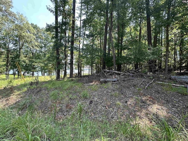 210 Hidden Circle Ln Unit 22, Ridgeway, SC 29130