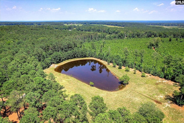3450 Summerland Hwy, Leesville, SC 29070 - drone / aerial view of a heavily wooded area and a large body of water
