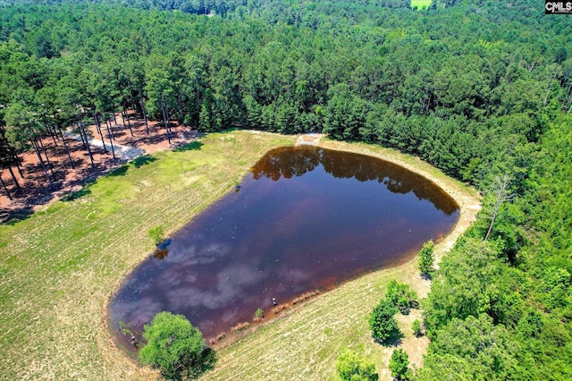 3450 Summerland Hwy, Leesville, SC 29070 - drone / aerial view of a heavily wooded area and a large body of water