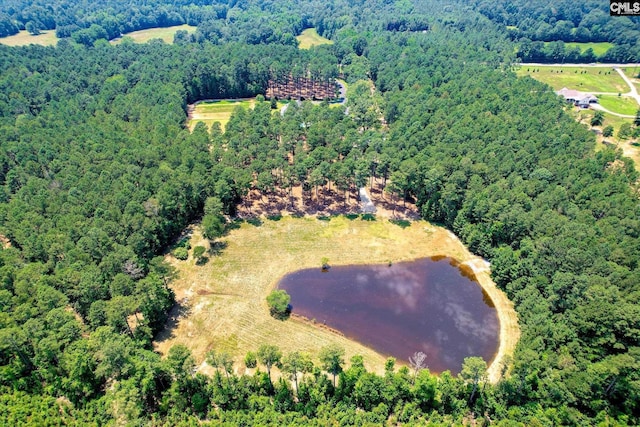 3450 Summerland Hwy, Leesville, SC 29070 - drone / aerial view of a forest and a large body of water