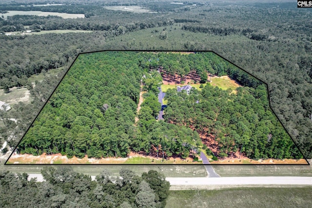 3450 Summerland Hwy, Leesville, SC 29070 - view of property location featuring property boundaries highlighted