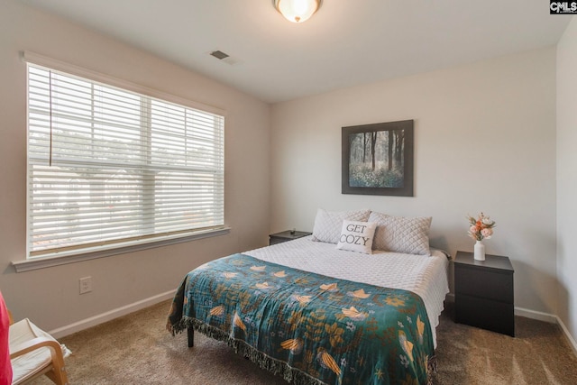 1056 Turtle Stone Rd, Blythewood, SC 29016 - carpeted bedroom featuring multiple windows