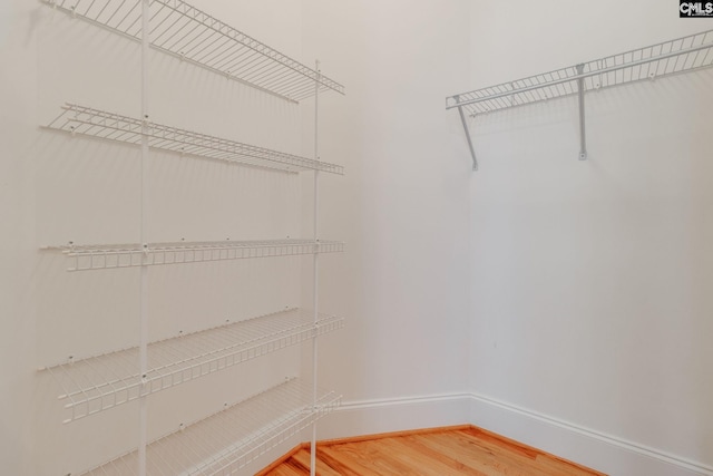 201 Arcadia Lakes Dr, Columbia, SC 29206 - walk in closet with light wood-type flooring