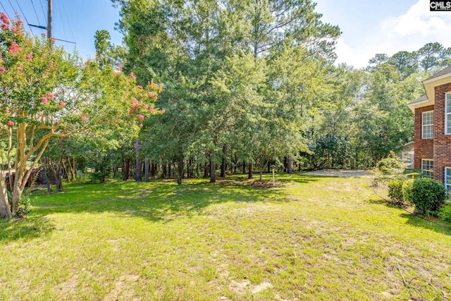 201 Arcadia Lakes Dr, Columbia, SC 29206 - view of grassy yard