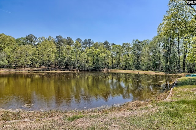 5404 Fairview Rd, Batesburg, SC 29006 - water view featuring a heavily wooded area