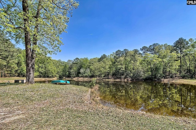 5404 Fairview Rd, Batesburg, SC 29006 - water view featuring a heavily wooded area