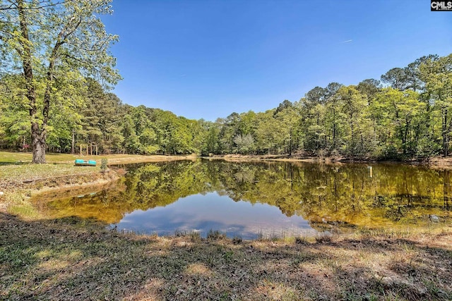 5404 Fairview Rd, Batesburg, SC 29006 - water view with a forest
