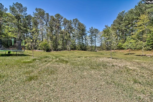 5404 Fairview Rd, Batesburg, SC 29006 - view of grassy yard featuring a trampoline
