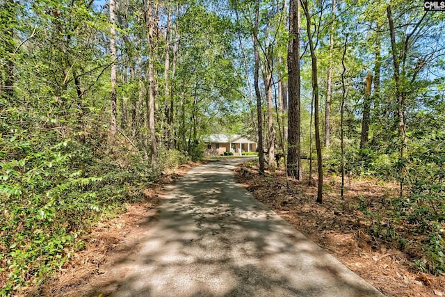 5404 Fairview Rd, Batesburg, SC 29006 - view of road