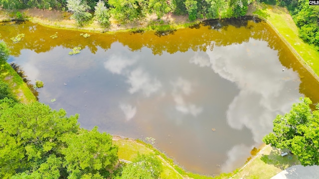 5404 Fairview Rd, Batesburg, SC 29006 - drone / aerial view of a large body of water