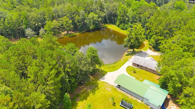 5404 Fairview Rd, Batesburg, SC 29006 - aerial view of a forest and a nearby body of water