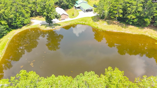 5404 Fairview Rd, Batesburg, SC 29006 - view from above of property featuring a nearby body of water