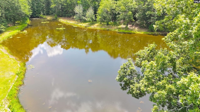 5404 Fairview Rd, Batesburg, SC 29006 - water view with a forest