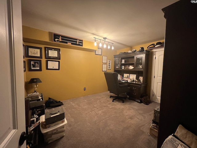 127 Brooklet Dr, Lexington, SC 29072 - office area with carpet flooring and rail lighting