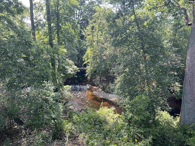 127 Brooklet Dr, Lexington, SC 29072 - view of wooded area
