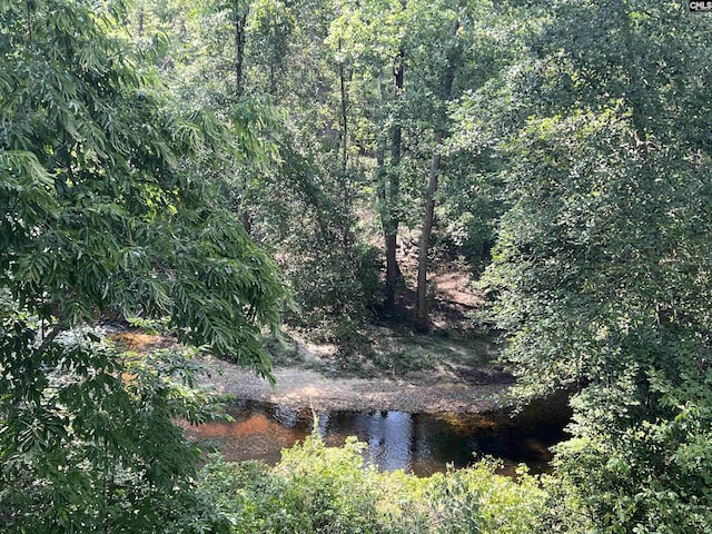127 Brooklet Dr, Lexington, SC 29072 - view of nature