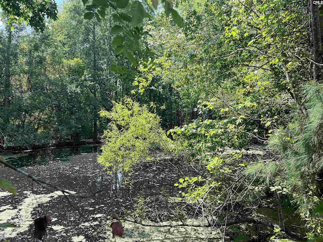 4141 Edmund Hwy, West Columbia, SC 29170