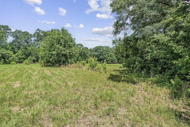 0 Beech Creek Rd, Lexington, SC 29072