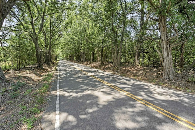 0 Beech Creek Rd, Lexington, SC 29072