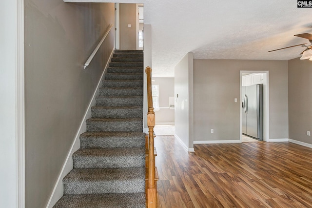 211 Glendevon Way, Columbia, SC 29229 - stairs with wood finished floors, ceiling fan, and a textured ceiling
