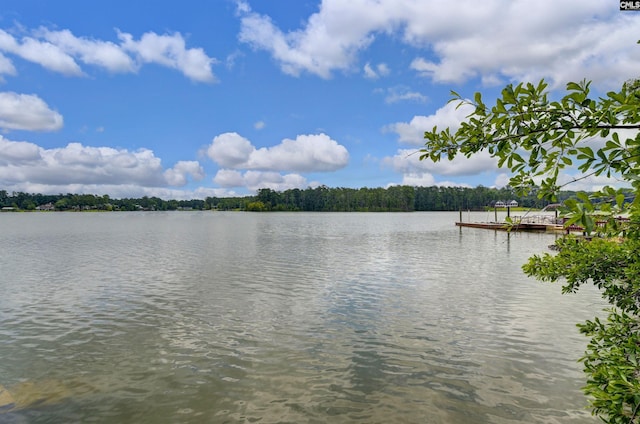 648 E Point Dr, Gilbert, SC 29054 - water view with a boat dock