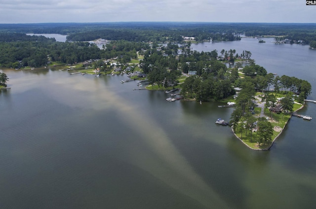 648 E Point Dr, Gilbert, SC 29054 - aerial view of property's location featuring a nearby body of water