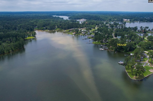 648 E Point Dr, Gilbert, SC 29054 - aerial overview of property's location with a nearby body of water