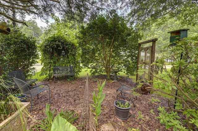 648 E Point Dr, Gilbert, SC 29054 - view of yard