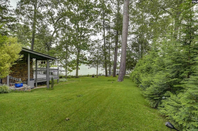 648 E Point Dr, Gilbert, SC 29054 - view of grassy yard