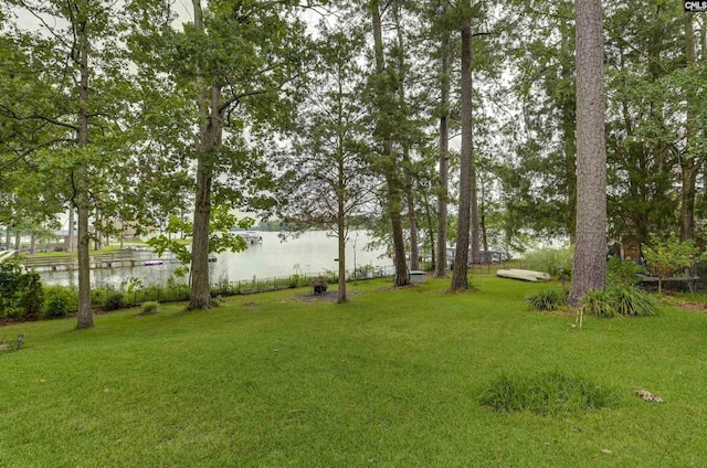 648 E Point Dr, Gilbert, SC 29054 - view of grassy yard featuring a water view