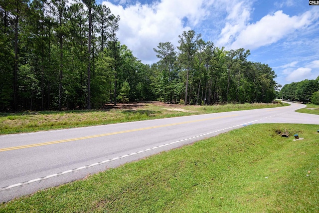 Maxie Rd Lot 3, Lexington, SC 29072