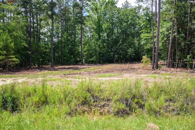 Maxie Rd Lot 3, Lexington, SC 29072