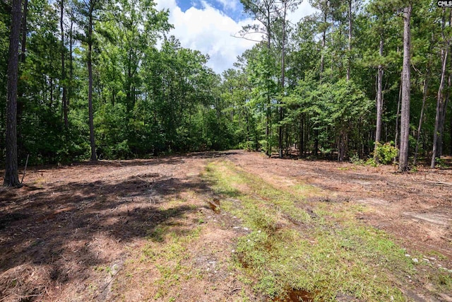 Maxie Rd Lot 3, Lexington, SC 29072