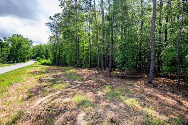 Maxie Rd Lot 3, Lexington, SC 29072